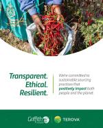 Harvesting peppers. "Transparent. Ethical. Resilient. We're committed to sustainable sourcing practices that positively impact both people and the planet."